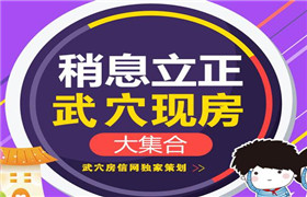 独家策划：武穴城区现房及准现房大集合