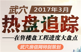 独家策划 武穴3月楼盘