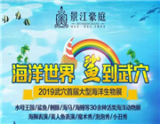 鲨鱼、海狮表演、美人鱼表演！一大波海洋生物空降武穴，门票免费送！